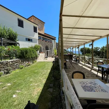Baglivo 2